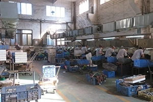 Polishing section - 2