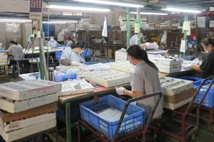 Surface Inspection
